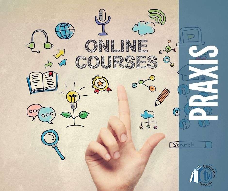 Online-Kurse - die neue Fortbildung