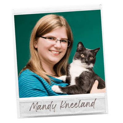 Webseminar: Katzen-Diabetes - verstehen und begleiten