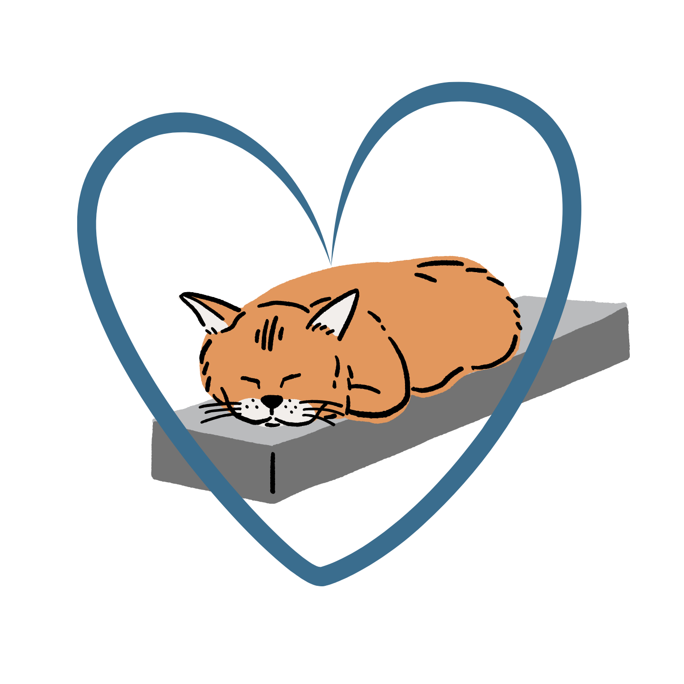 Webseminar: Sterbebegleitung Katze