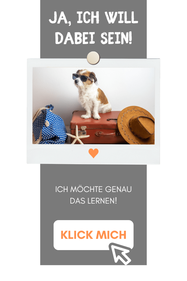 Aufzeichnung: Hund Mittelmeerkrankheiten