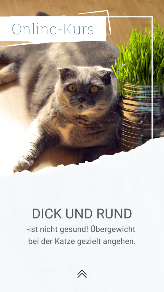 2 KURShauptseite