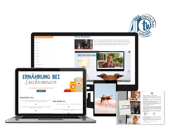 Online-Kurs: Hund - Ernährung bei Leishmaniose Online-Kurs: Hund - Ernährung bei Leishmaniose