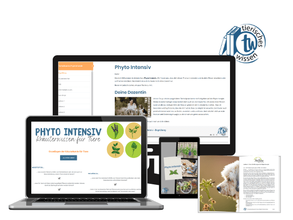ONLINE-KURS: Phyto Intensiv für Tiere ONLINE-KURS: Phyto Intensiv für Tiere