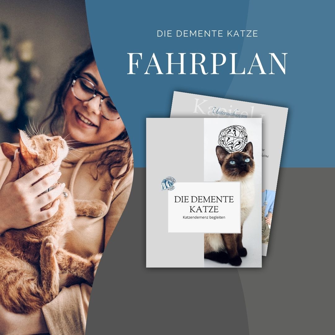 Die demente Katze Fahrplan 1