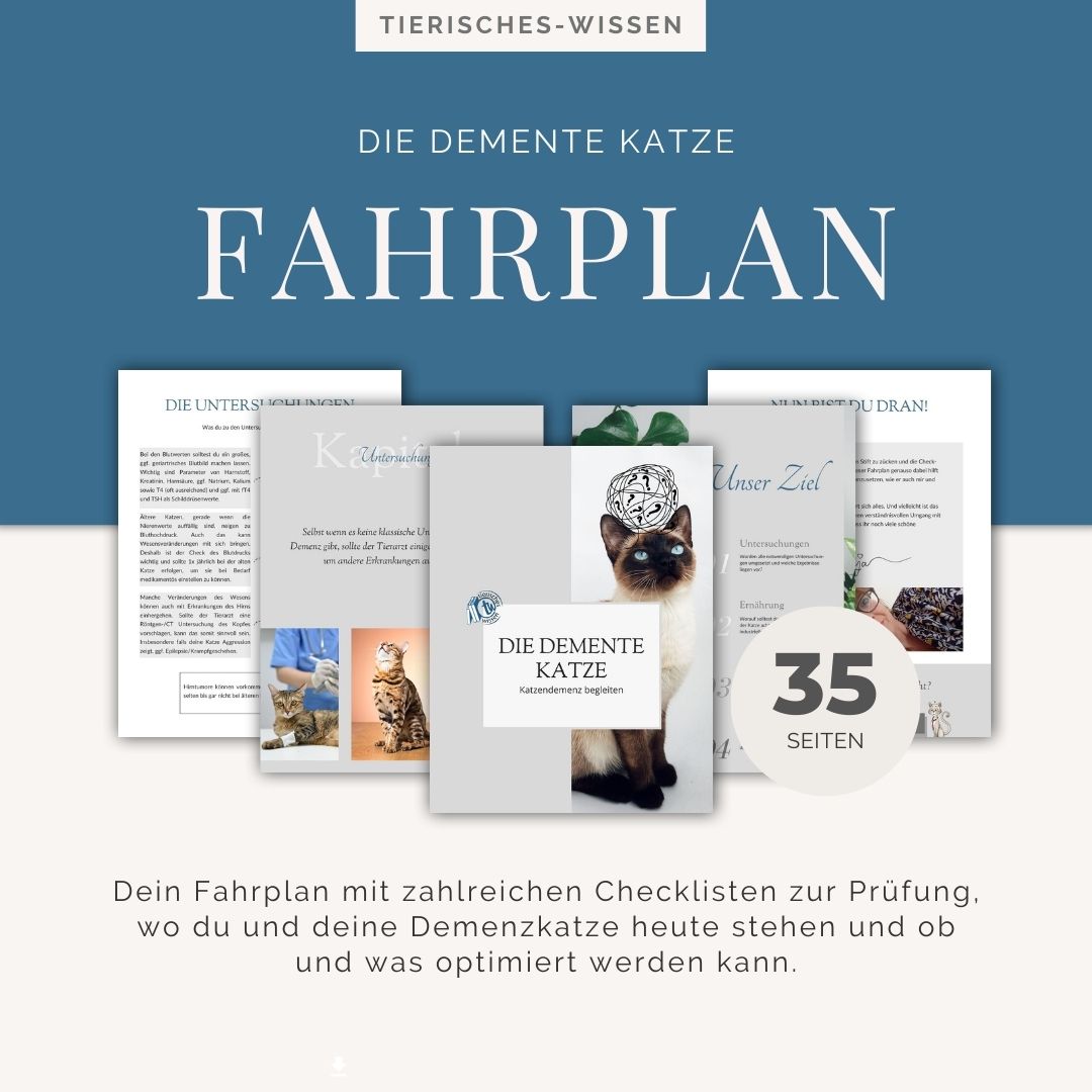 Die demente Katze Fahrplan 3