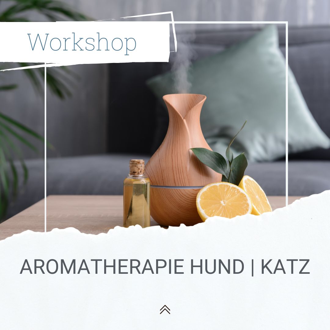 Aromatherapie Hund Katze