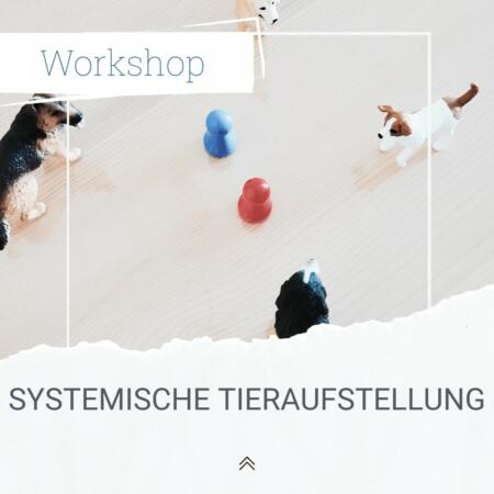 Workshop systemische Tieraufstellung